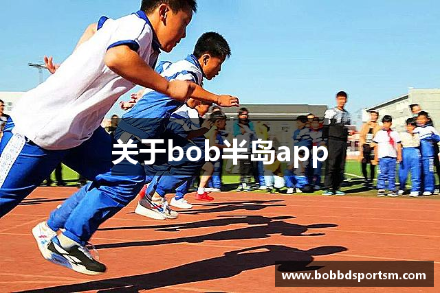 关于bob半岛app